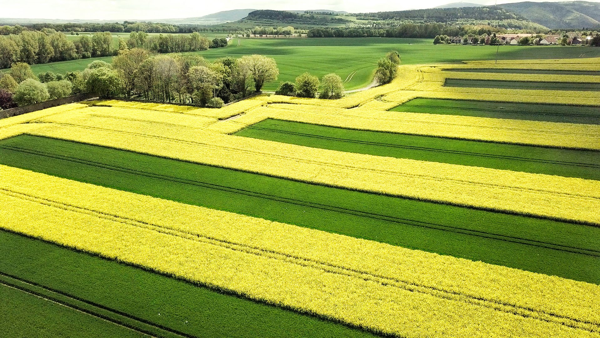 Bauern tun was für Bienen