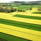 Bauern tun was für Bienen