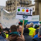 Bauernaufaufstand in Berlin