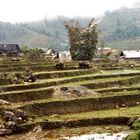 bauerndorf bei sapa/vietnam