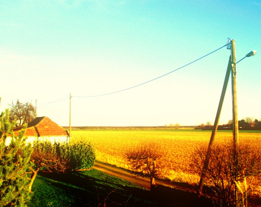 Bauernfeld