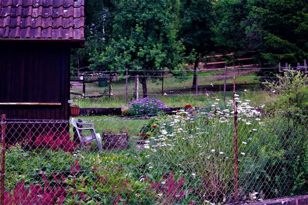 Bauerngarten Fotos & Bilder auf fotocommunity