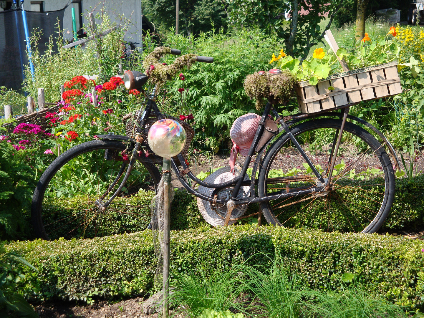 Bauerngarten Foto & Bild | jahreszeiten, sommer, natur Bilder auf