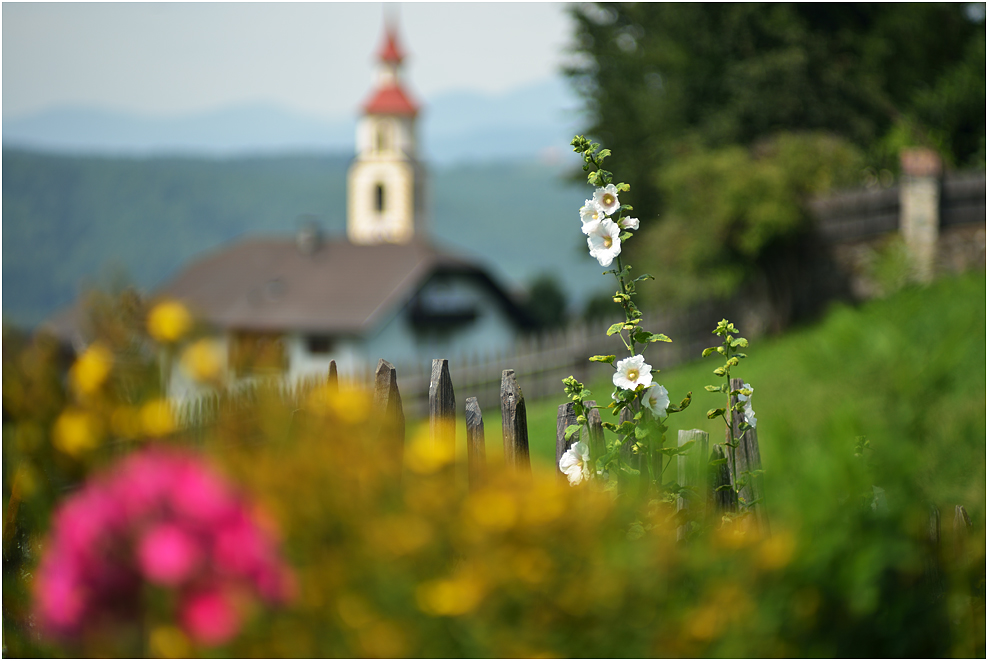 Bauerngarten