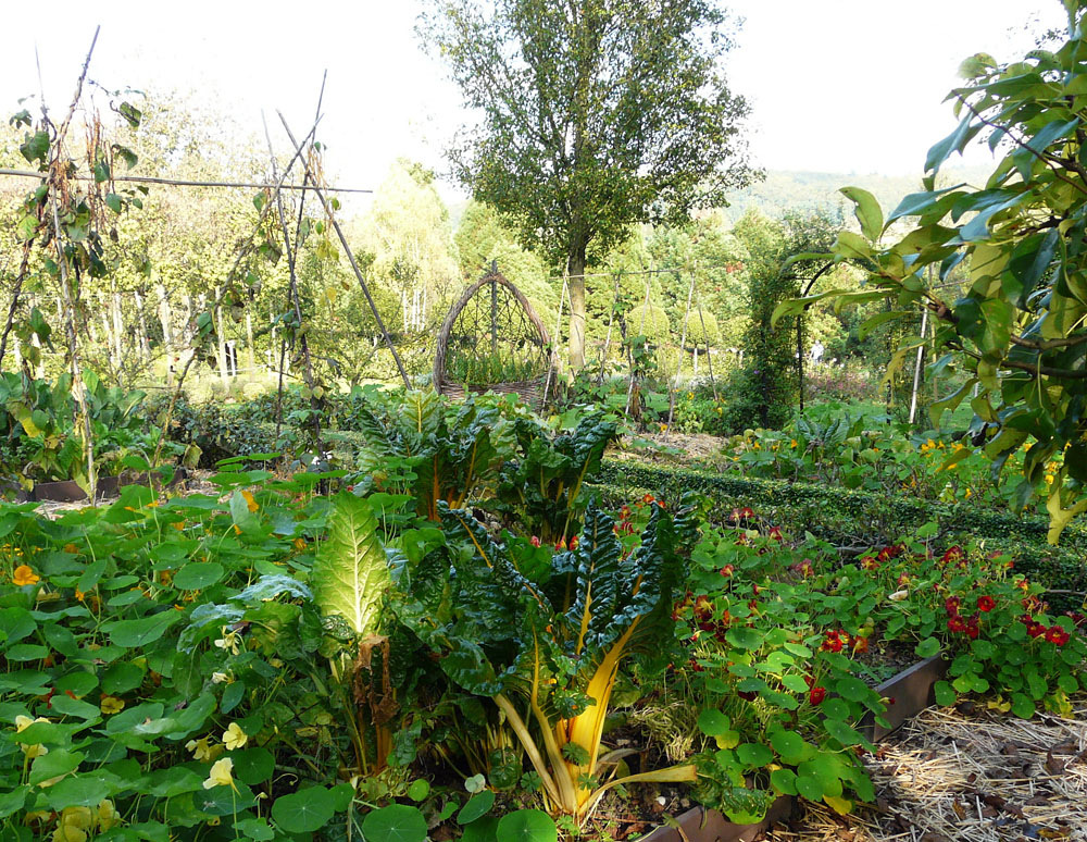 Bauerngarten