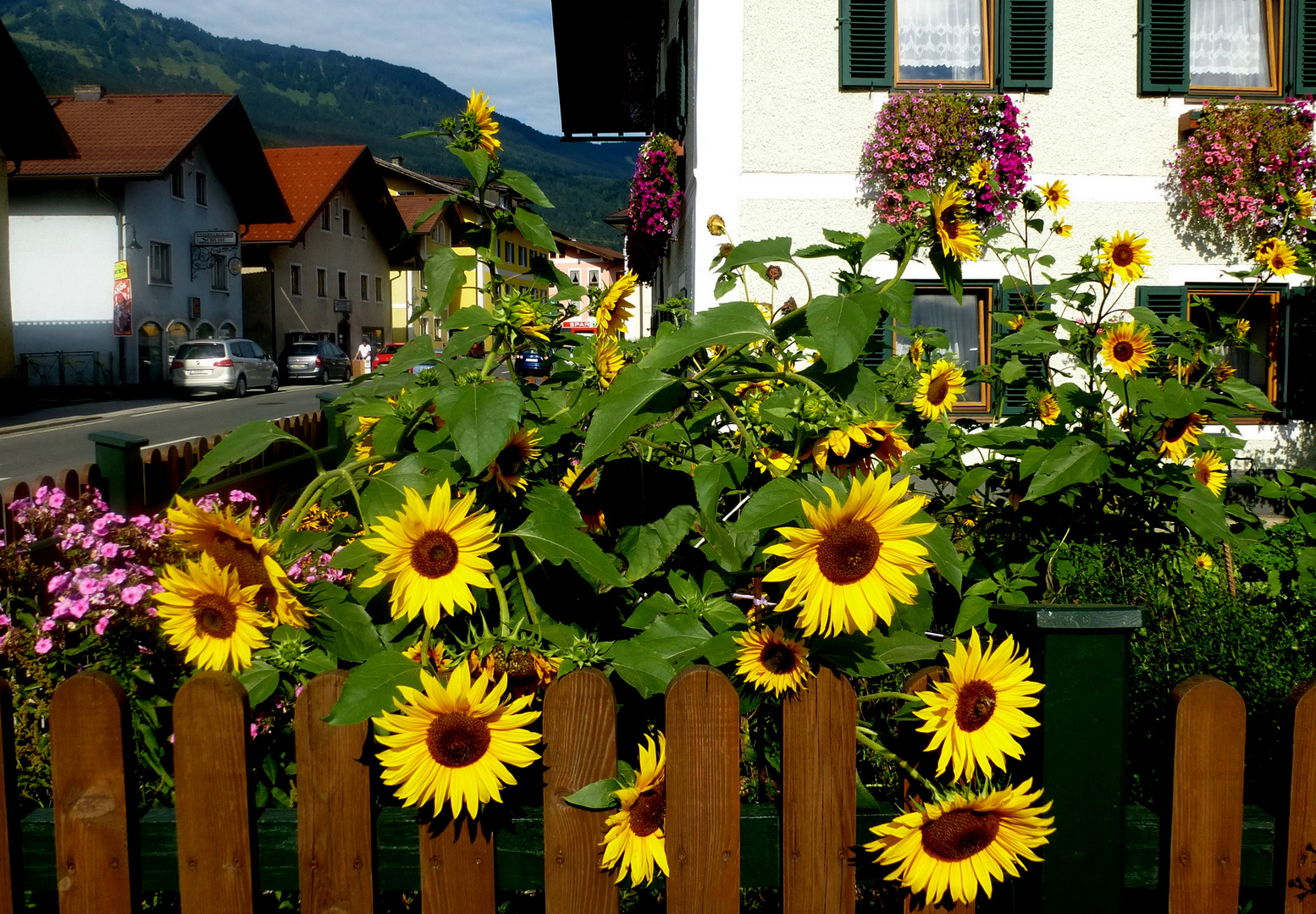 Bauerngarten