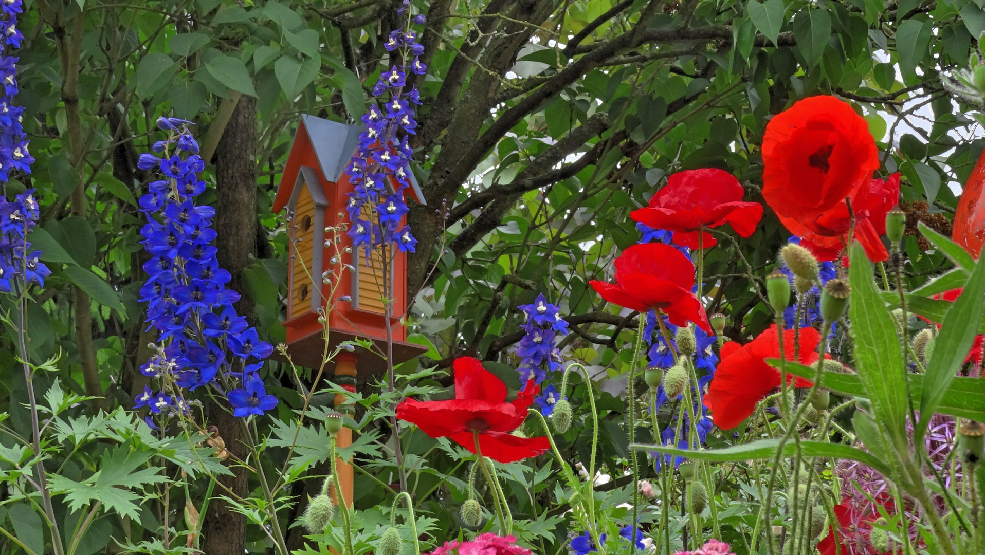 Bauerngarten 2