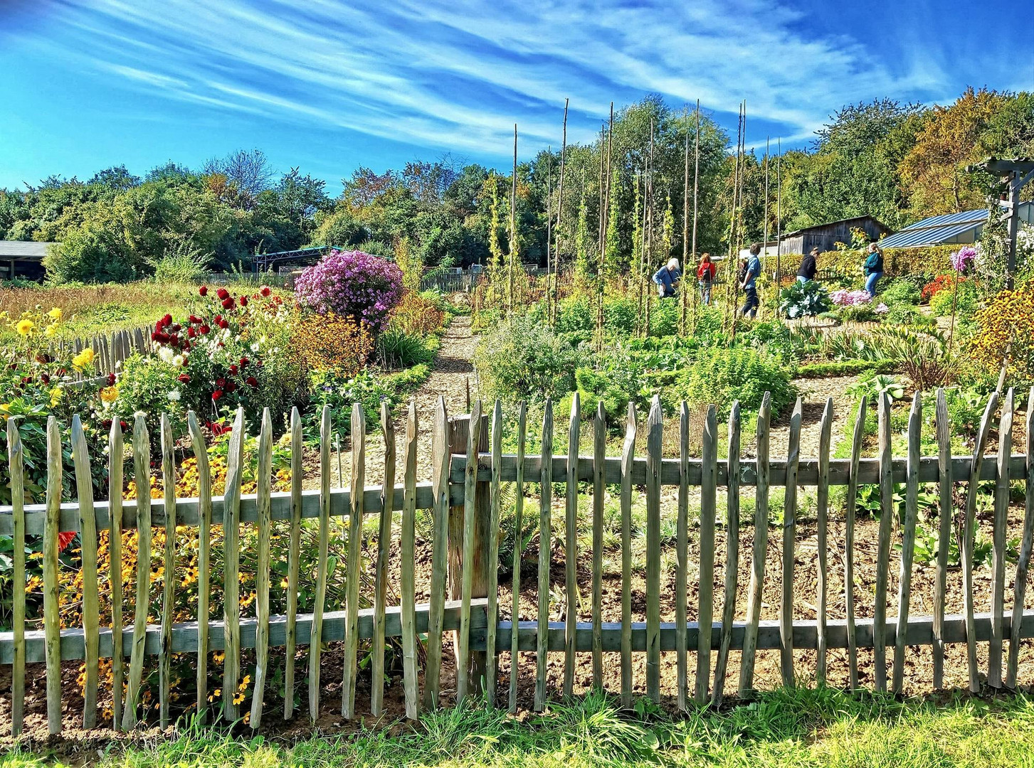 Bauerngarten