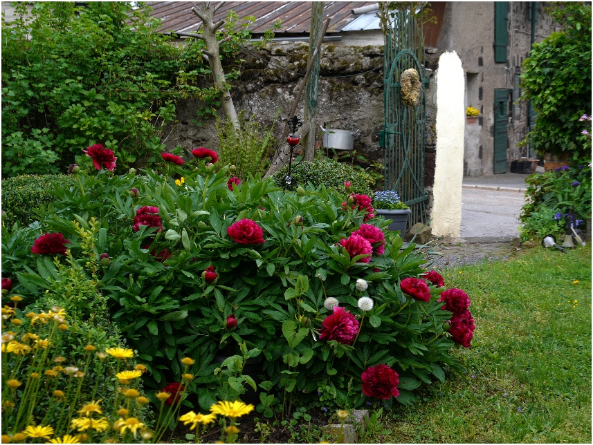 Bauerngarten 