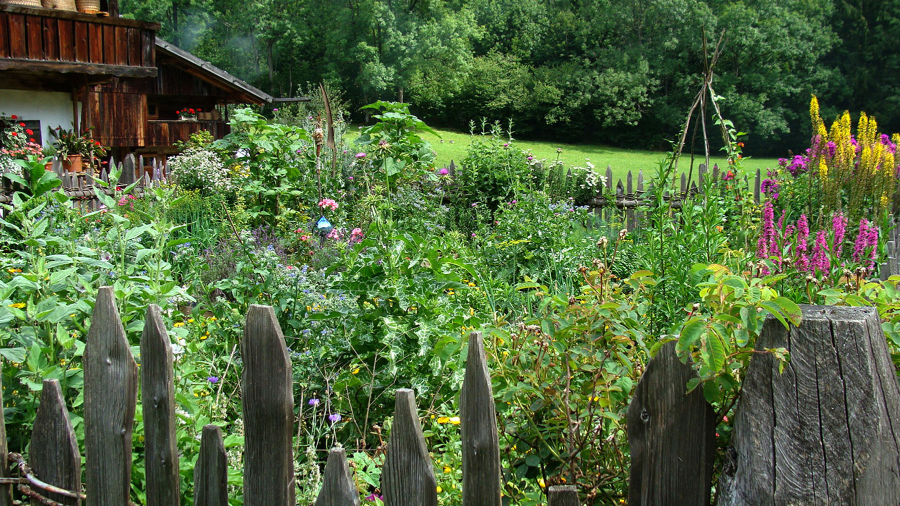 Bauerngarten - -