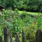 Bauerngarten - -