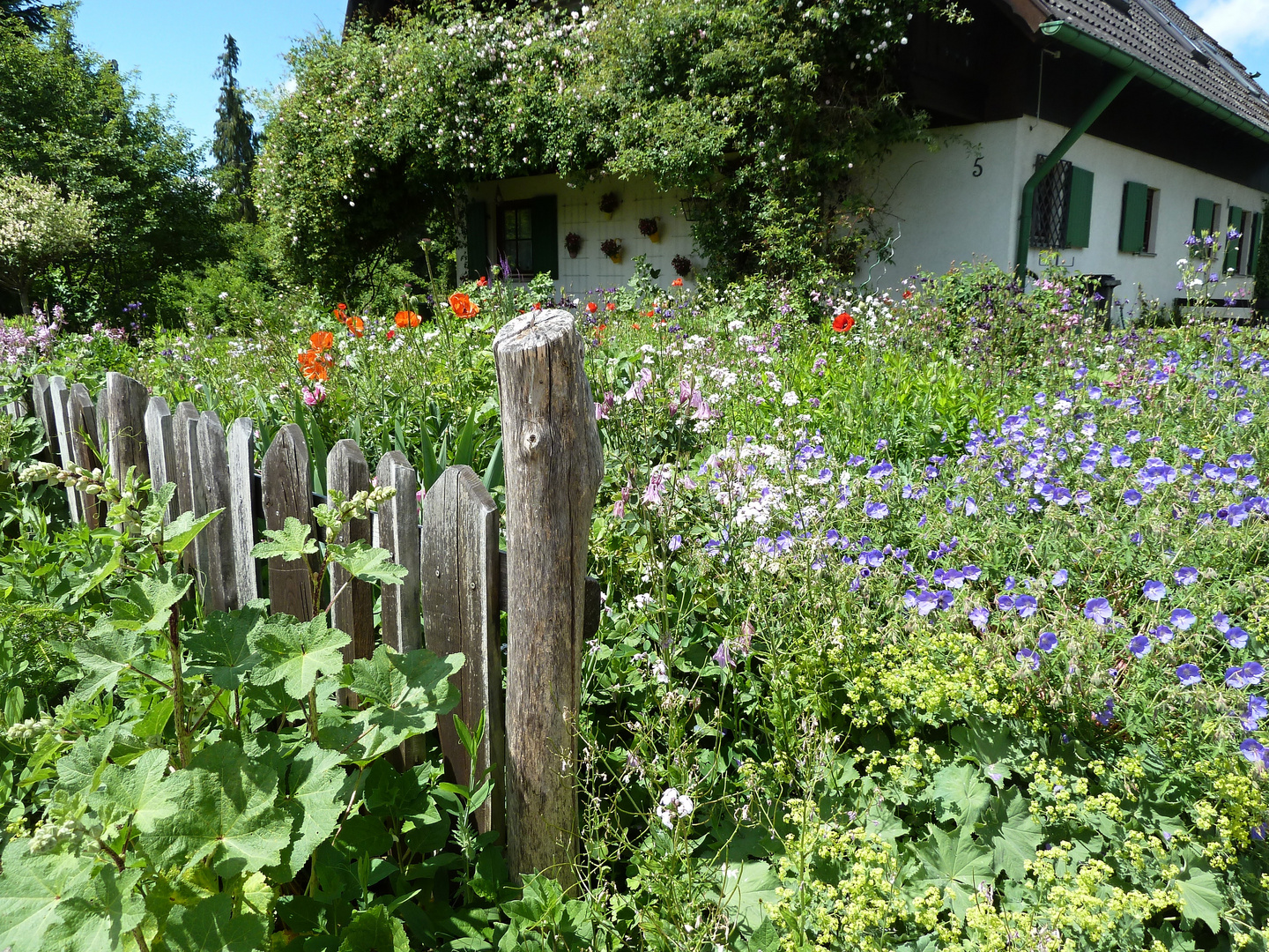 Bauerngarten