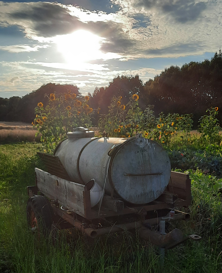 Bauerngarten