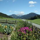 Bauerngarten Foto & Bild | europe, Österreich, tirol Bilder auf