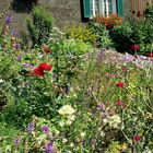 Bauerngarten auf dem Zuger Berg