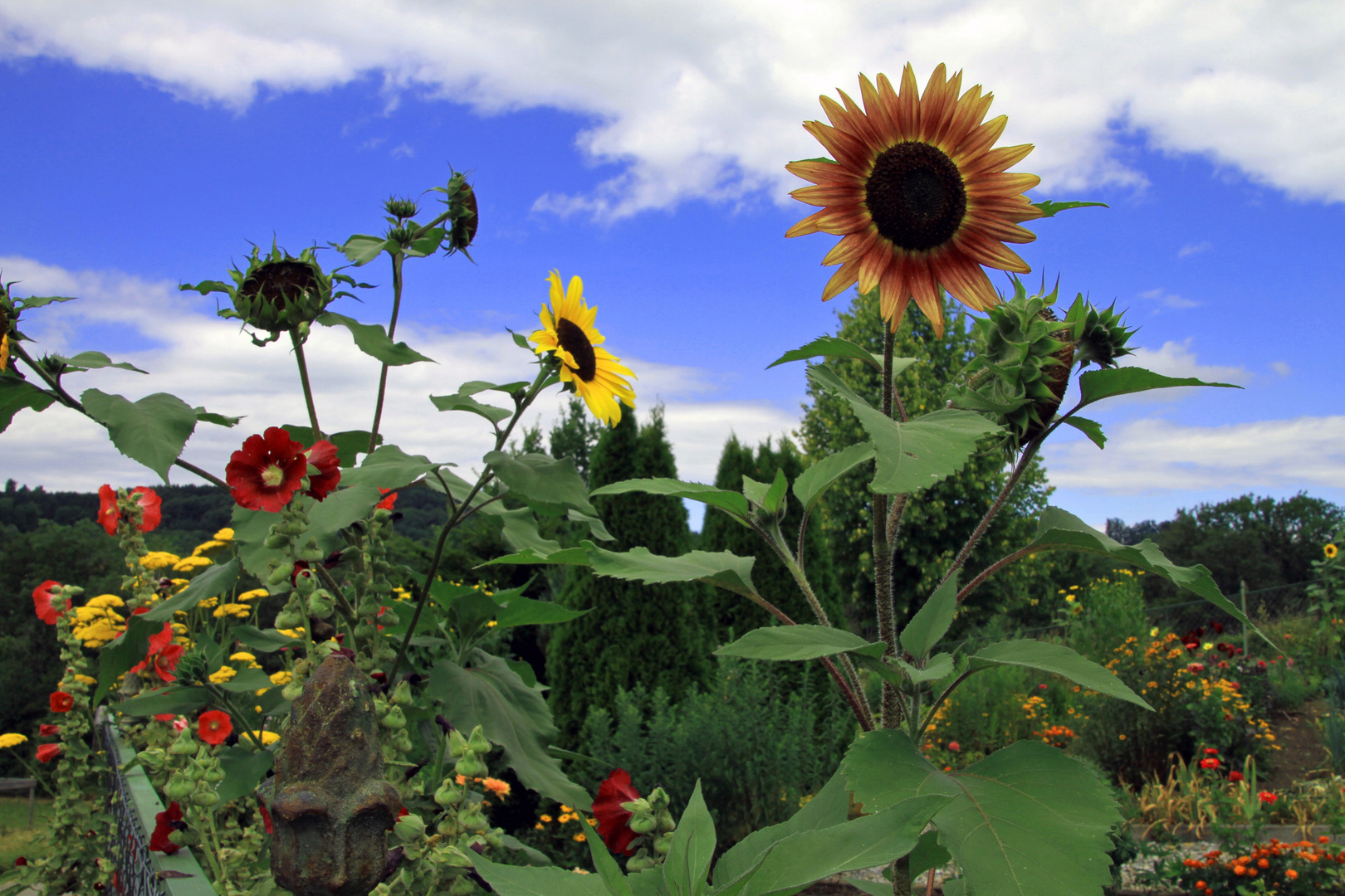 Bauerngarten