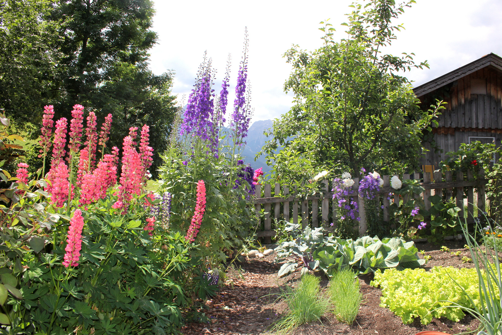 Bauerngarten 