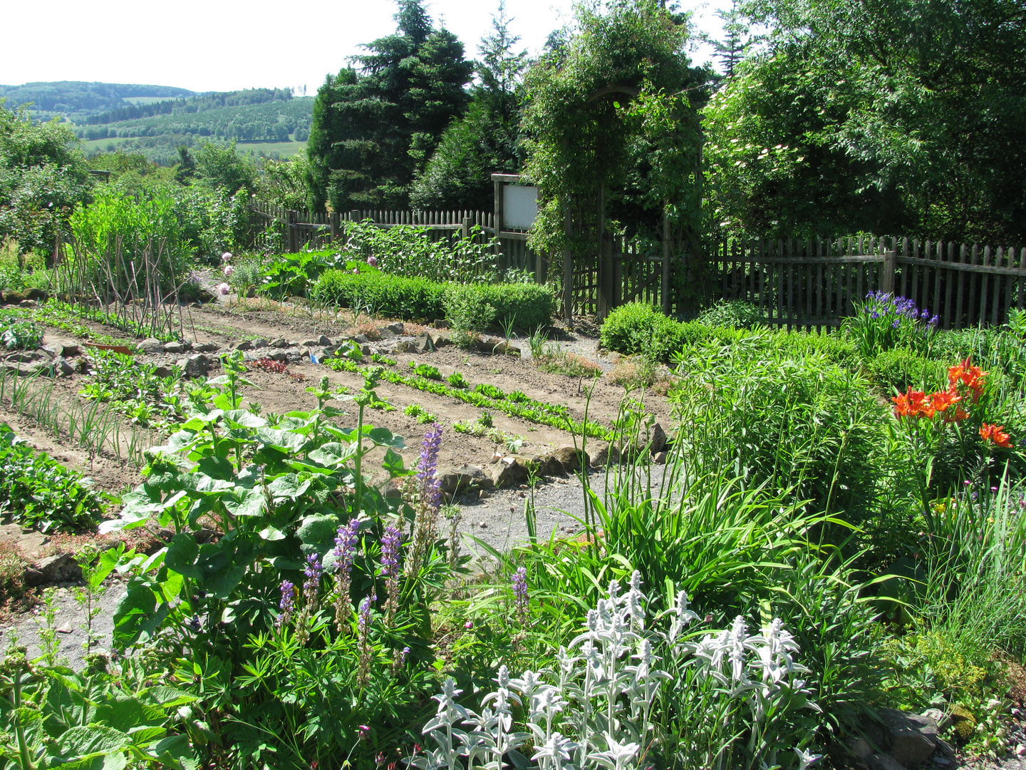 Bauerngarten des Vogelsberggartens