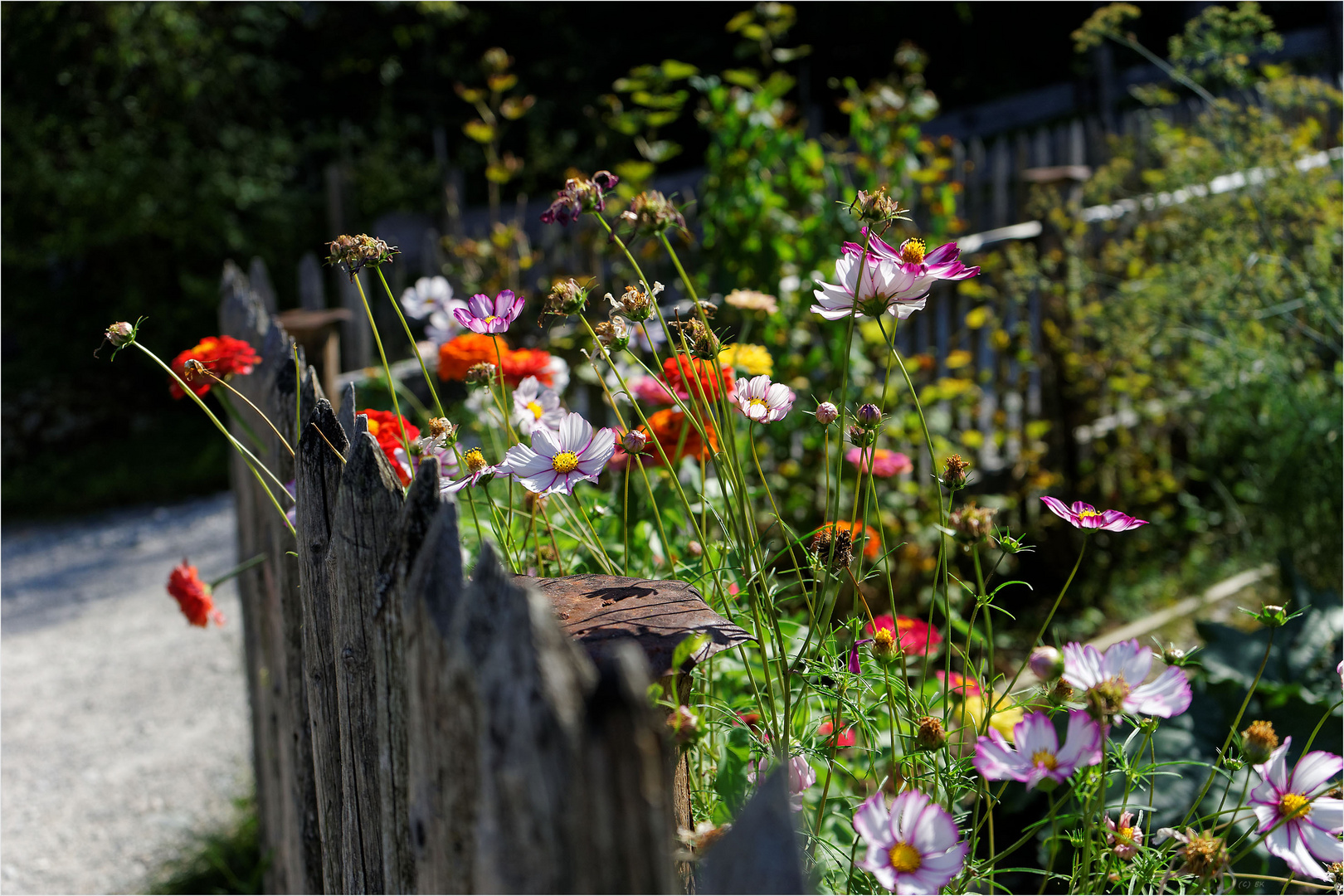 Bauerngarten