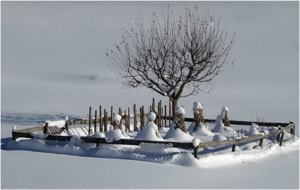 Bauerngarten