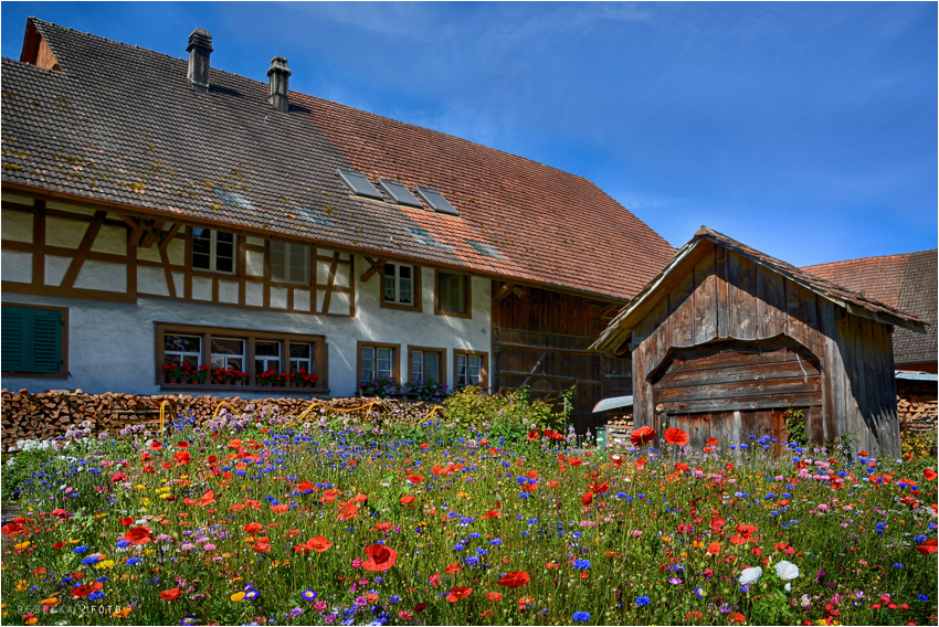 Bauerngarten