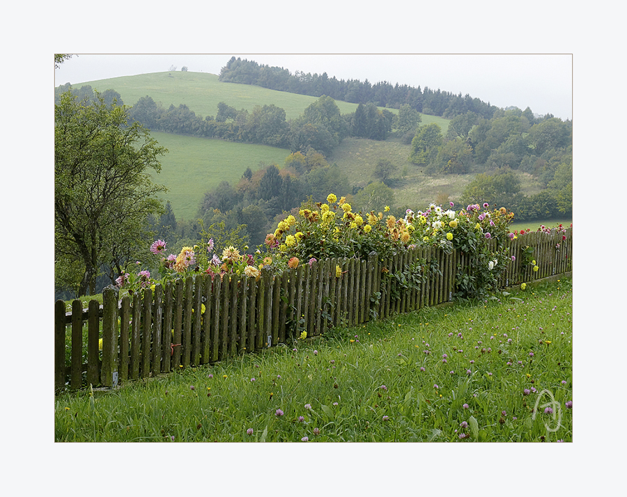 Bauerngarten