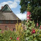 Bauerngarten im Arboretum