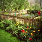 Bauerngarten im Chiemgau bei Höslwang