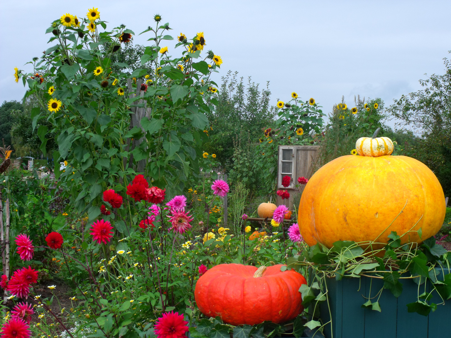 Bauerngarten im Herbst