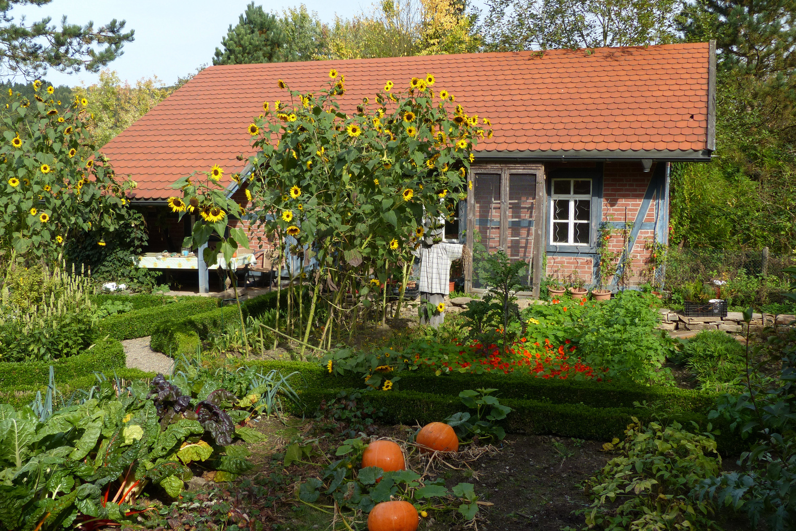 °°°° Bauerngarten im Herbst °°°°