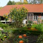 °°°° Bauerngarten im Herbst °°°°