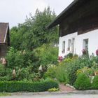 Bauerngarten im Sommer....