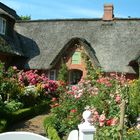 Bauerngarten in St. Peter - Ording