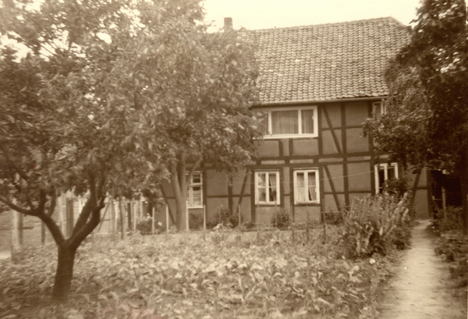 Bauerngarten mit Bauernhaus um 1950