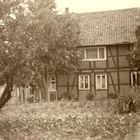Bauerngarten mit Bauernhaus um 1950