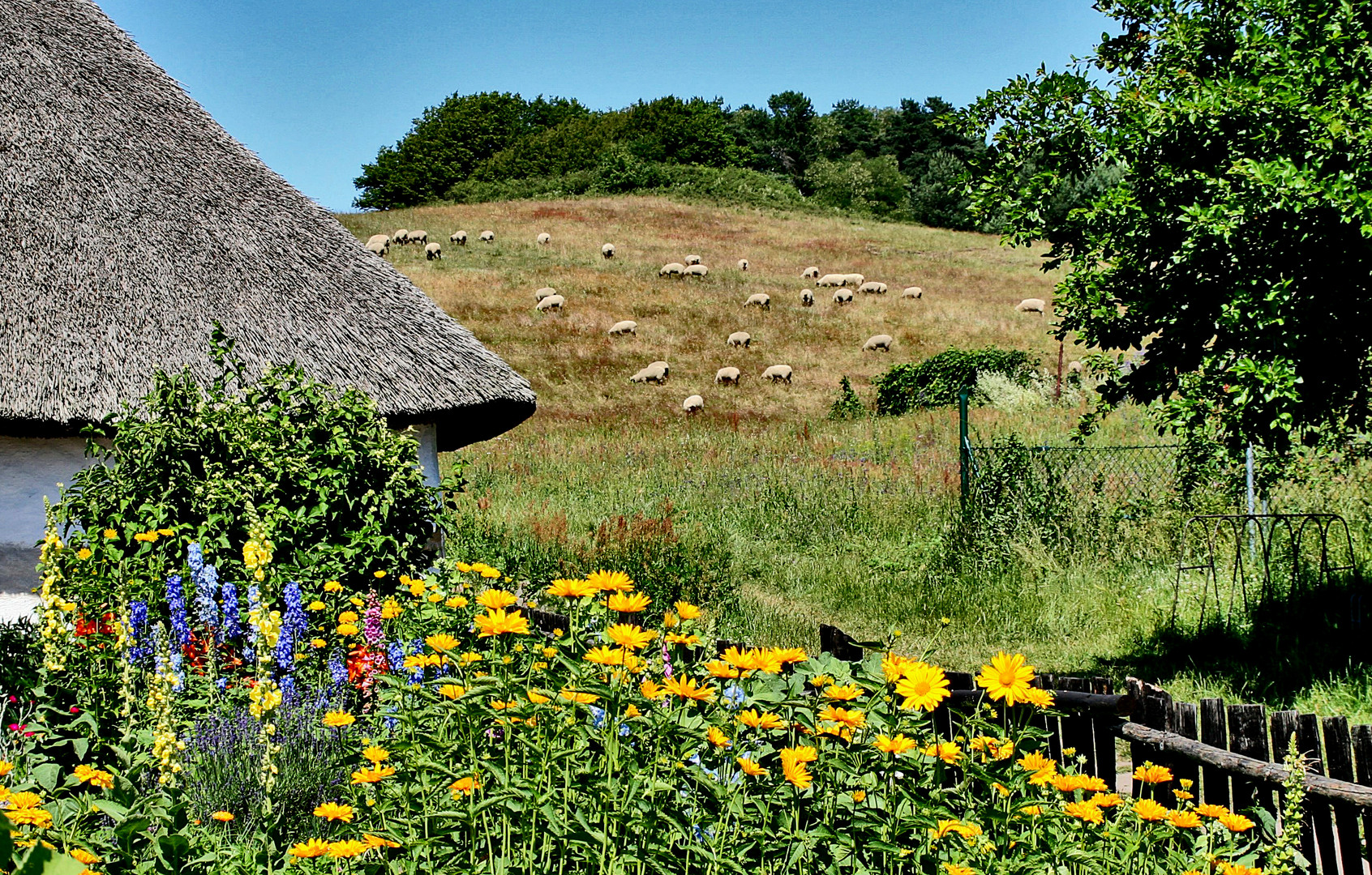 Bauerngarten mit Blick....