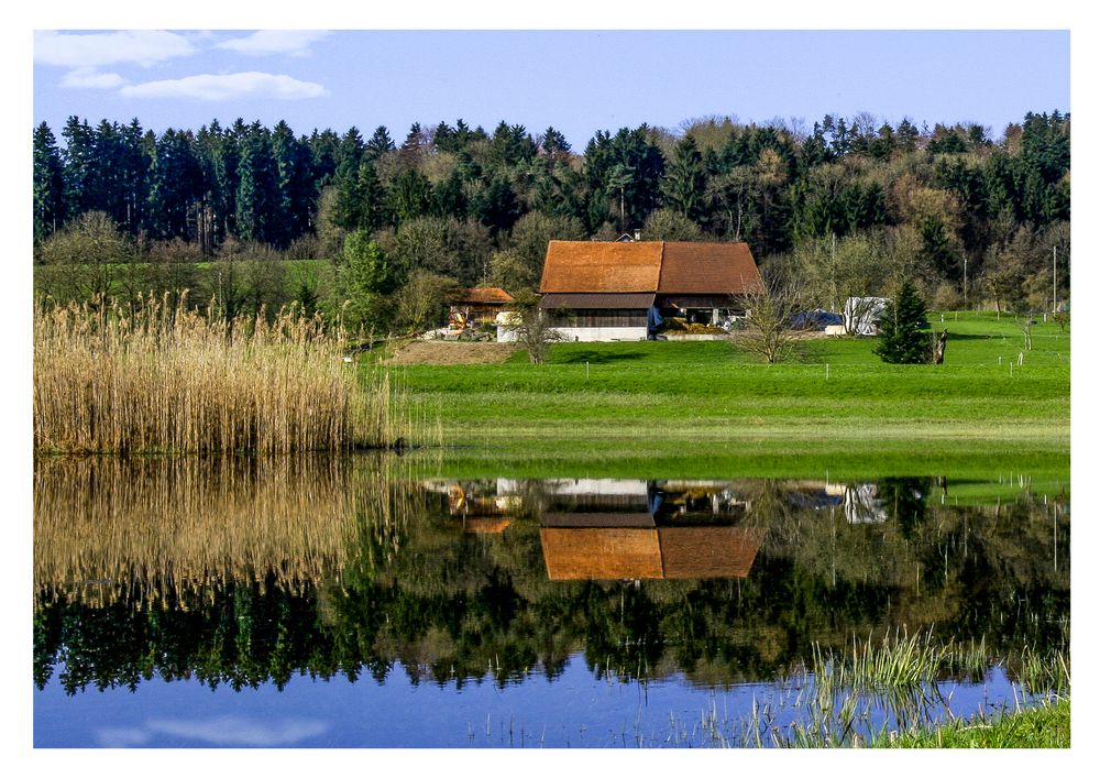 Bauernhaus am Teich Foto & Bild landschaft, bach, fluss & see, see