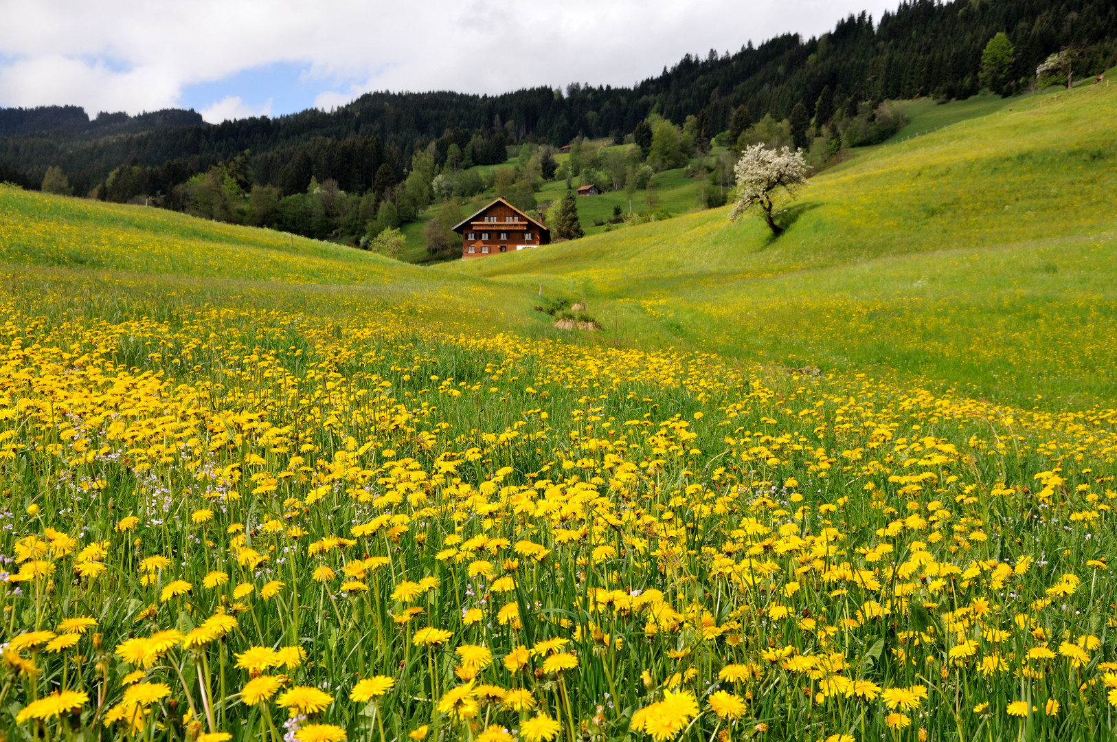 Bauernhaus bei Ofterschwang