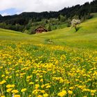 Bauernhaus bei Ofterschwang