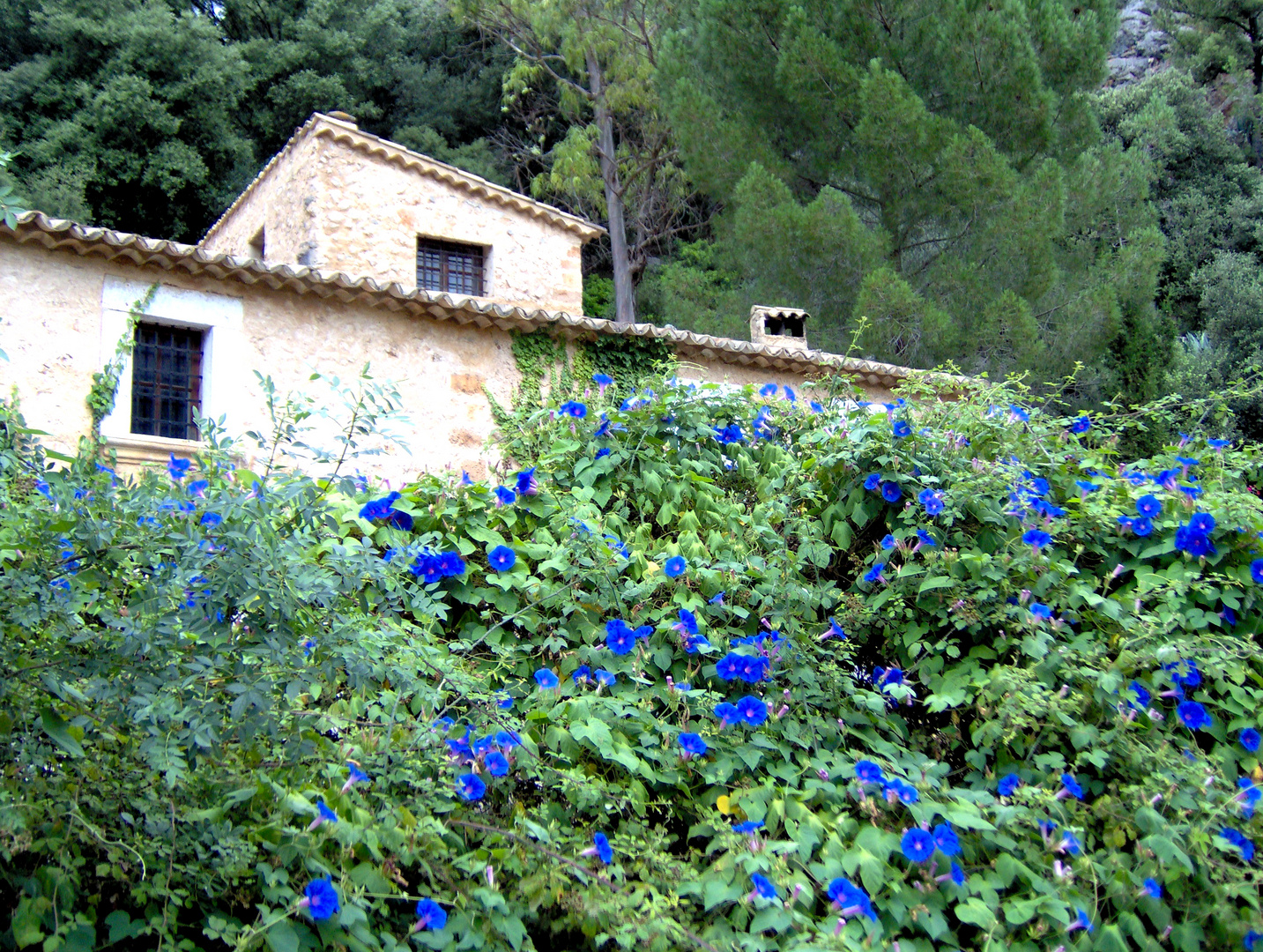 Bauernhaus bei Santa Maria del Cami auf Mallorca