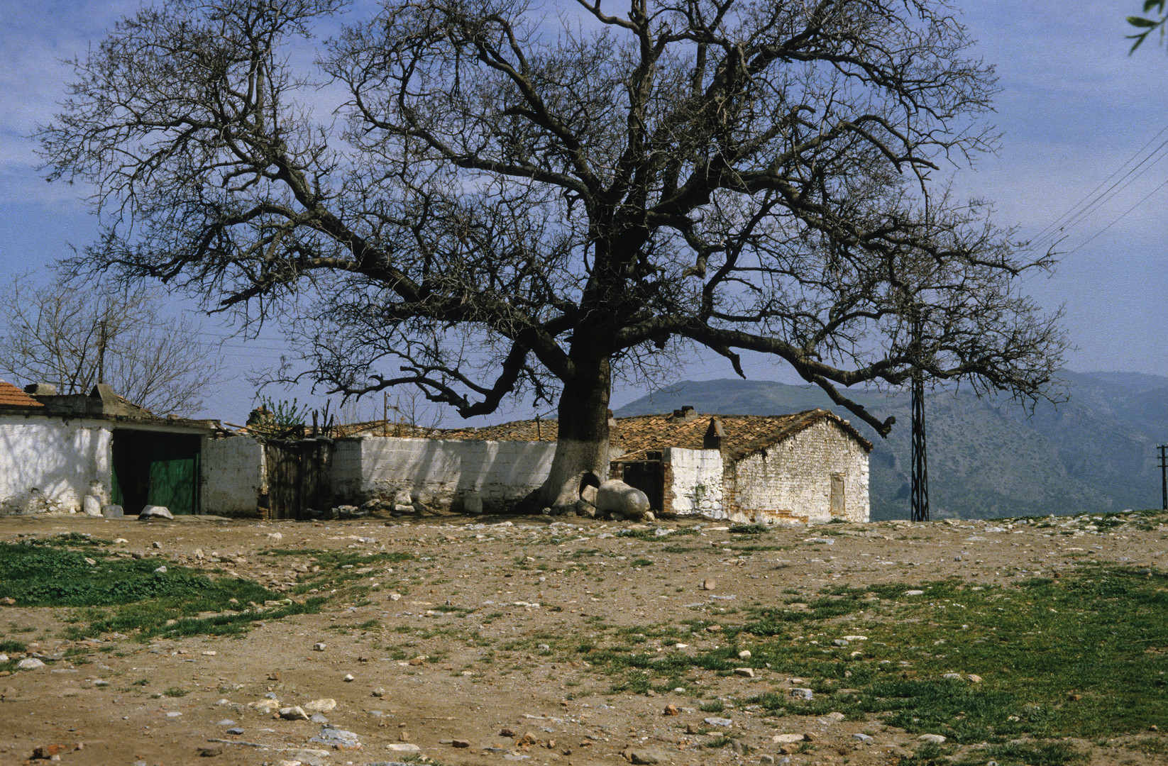 Bauernhaus bei Selcuk