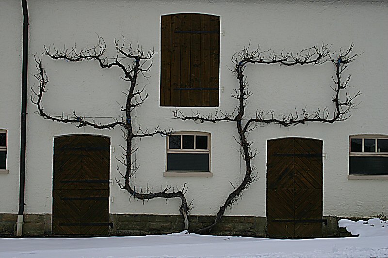 Bauernhaus