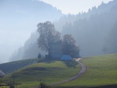 Bauernhaus im Novembernebel