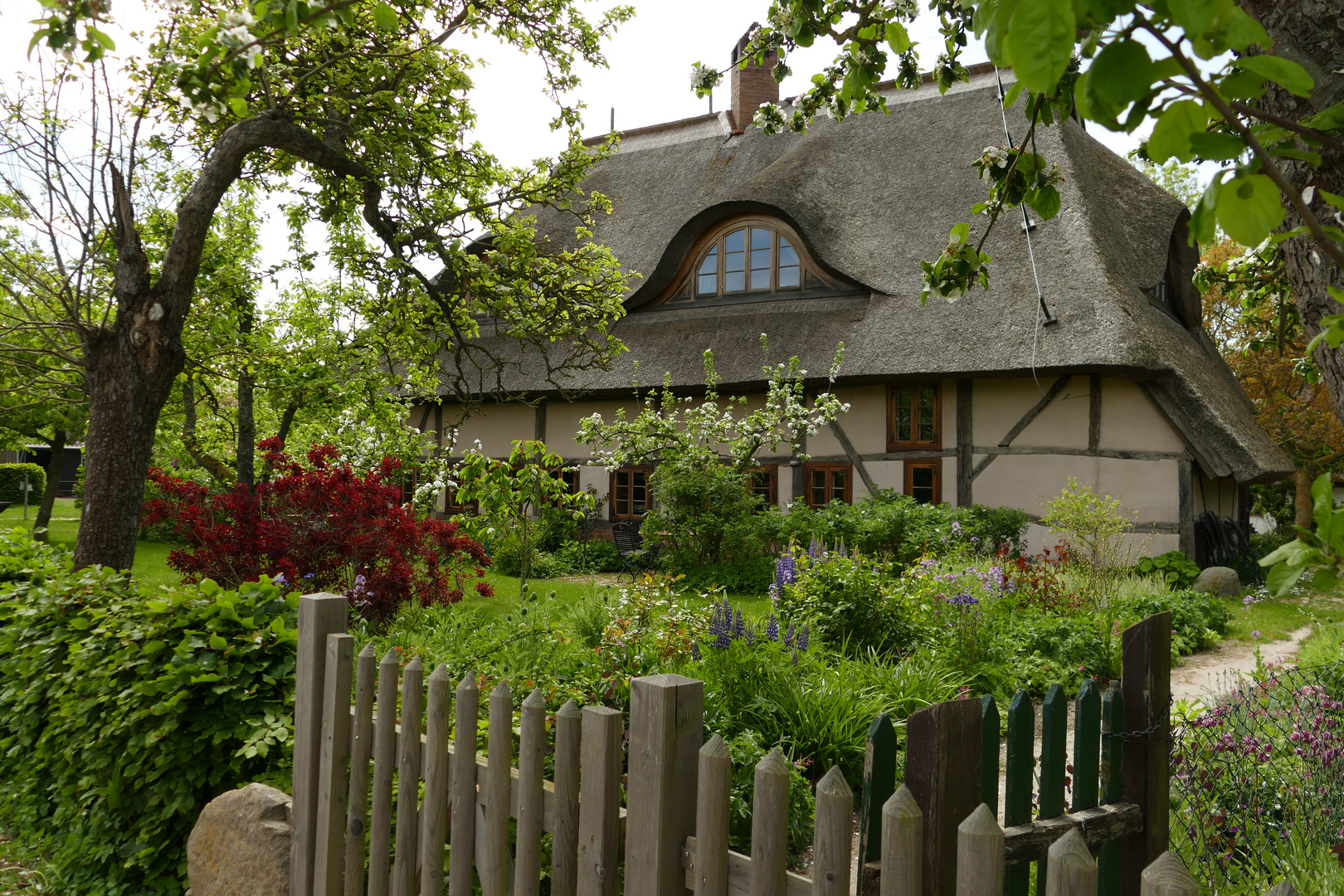 Bauernhaus in Barnstorf/fischland/Darss 