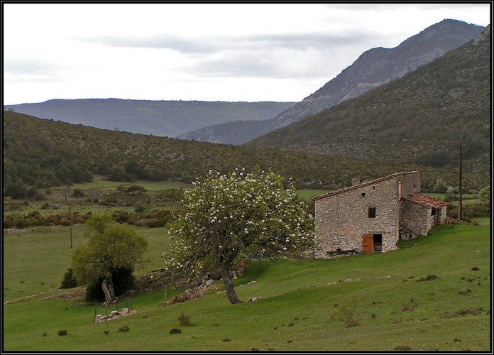 Bauernhaus in der Haute Provence