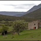 Bauernhaus in der Haute Provence