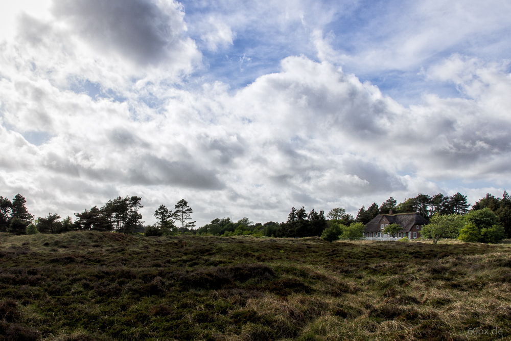 Bauernhaus in der Heide