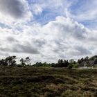 Bauernhaus in der Heide