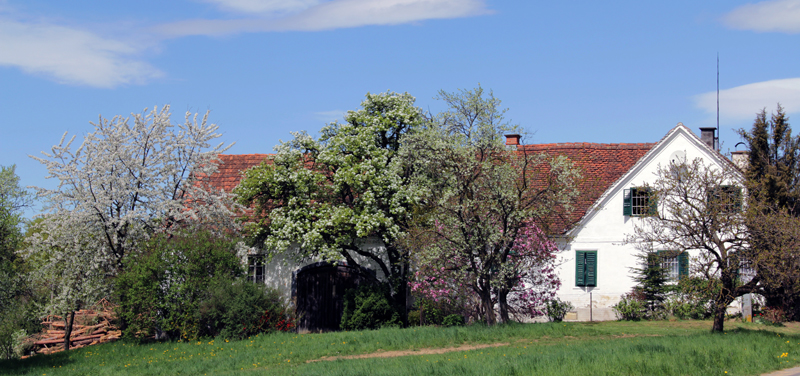 Bauernhaus in Hartl