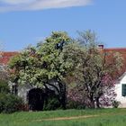 Bauernhaus in Hartl